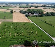 GERMANY CORN LABYRINTH