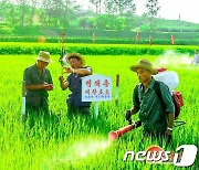 "벌방이든 산골이든 다 같이"…북한, 농장들에 '분발' 촉구