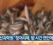 수산과학원 “정어리떼, 밤 시간 연안에 분포”