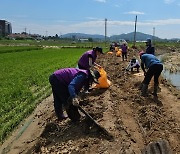 주말도 잊은 충북 수해복구 현장…수마 흔적 지우느라 구슬땀