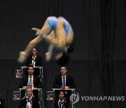 Japan Swimming Worlds