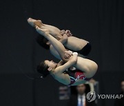 Japan Swimming Worlds