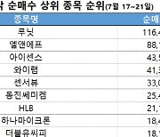 코스닥 주간 개인 순매수 1위 '루닛'