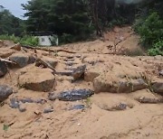 광주·대전·경남 등 5개 시도 산사태 위기경보 '심각'