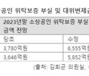 소상공인 위탁보증 부실률 30%까지 오른다, 빚 대신 갚는 신보 4500억 부족