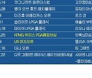 LPGA 투어 2023시즌 우승자(팀) 명단…샤이엔 나이트-엘리자베스 소콜, '다우 그레이트 레이크스 베이 인비테이셔널' 우승