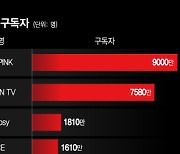 [더차트] 블랙핑크, 유튜브 구독자 9000만 돌파…국내 가수 순위는