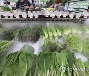 장맛비에 채솟값 폭등…식당서 손님은 '눈치'·사장은 '한숨'