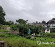 쓰러진 전신주