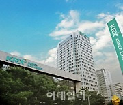 [특징주]금양·포스코DX, '투자경고종목' 지정에도 상승