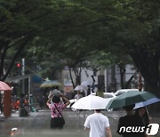 장맛비 내리는 부산