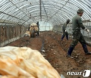 수해 복구 작업하는 軍