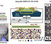 연세대-성균관대, 대면적 고성능 이차원 반도체 전자소자 개발