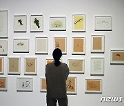 국내 최대 규모로 열리는 김범 개인전 '바위가 되는 법'