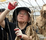 [뉴스1 PICK]국민의힘, 수해 복구 총력…"정부와 여당에겐 모든 재난 책임 있어"