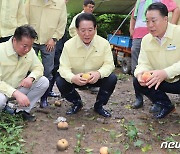 김영록 지사, 화순 복숭아 낙과 피해 현장 방문