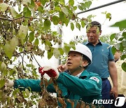 호우 피해 입은 대추 임가 둘러보는 산림청장