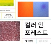 서울시립미술관과 성동문화재단 협력展 '컬러 인 포레스트'