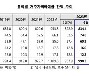 엔화 `예금 증가폭` 사상 최대