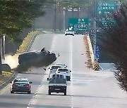 [줄 잇는 급발진 책임 논란 끝날까] 급발진 의심 사고 책임 법적 틀 논의…제조사 입증책임 커지나