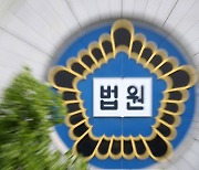 "바람나서 집 나갔다"…남편 직장에 전화해 거짓말한 50대女 벌금