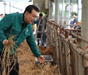 '수해 대응 총력' 尹 여름휴가 줄인다…한미일 회의 준비도