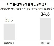 급전 급증에 속 타는 카드사들