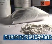 국내서 마약 1만 정 밀매 유통한 30대 외국인 실형