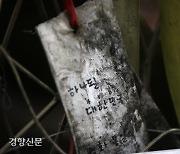 “이산의 비극…할아버지 고통이 나에게”[정전 70년]