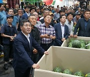 "맛있는 양구 수박 맛보세요” 강원 양구군농협 두레산수박공선회 수박 본격 출하