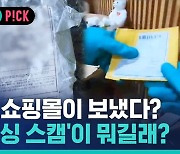 [비머pick] '수상한 소포' 중국 쇼핑몰이 보냈다?…'브러싱 스캠' 가능성