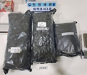 인천공항세관, 1만명분 대마초 밀수한 미국인 부부 검거