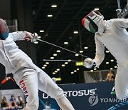 ITALY FENCING