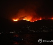 GREECE WILDFIRE