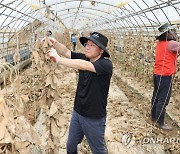 수해복구 돕는 윤재옥 원내대표