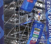 Japan Worlds High Diving Danger