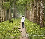 숨과 숨으로 연결된 나무와 나…'나무를 대신해 말하기'