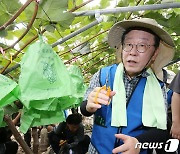 충남 부여 수해지역 찾은 이재명 대표