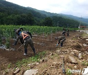 육군 50사단 폭염 속 농가 피해복구 작전