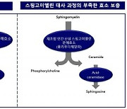 사노피-아벤티스코리아 희귀의약품 ‘젠포자임주’ 허가