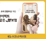 KB손해보험, 보험료 5.1% 낮춘 ‘KB다이렉트 금쪽같은 펫보험’ 출시