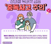 [미리체크] 장마철 독버섯 급증…야생버섯 섭취 주의