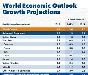 IMF, 올해 세계경제성장률 3.0% 전망…4월 대비 소폭 상향(종합)