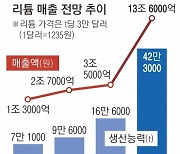 이차전지 날개 달고… 포스코홀딩스 신고가 ‘훨훨’