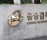 금감원, 내달 NH투자·미래에셋 현장 조사…불건전 영업 제동