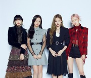 '구단선' 불똥 튄 블랙핑크, 베트남 공연 무산 위기 넘겼다 [스타이슈]