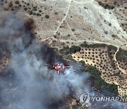 Greece Wildfires