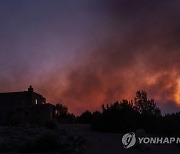 New Mexico Wildfire Investigation