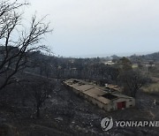 Algeria Wildfires