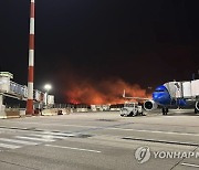 Italy Wildfires